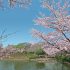 徒歩で10分程にある、さぎ山記念公園の風景